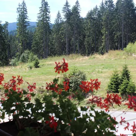 In Zlatar Ex Zlatarski Biseri Hotel 4*